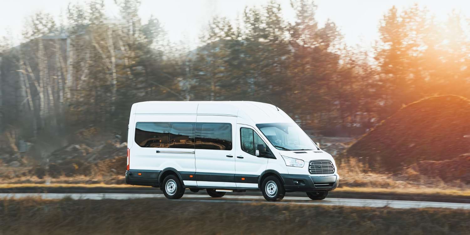 przewozy busami do holandii